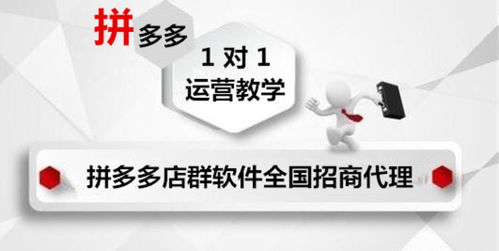 大象拼多多店群軟件代理 湖北軟件開發(fā)服務(wù)至上