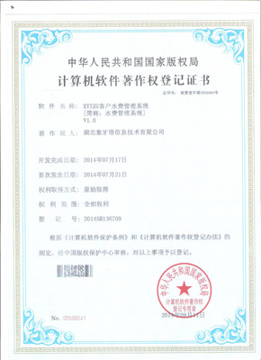 湖北象牙塔科技有限公司 襄陽網絡與軟件開發領域的資質榮譽典范